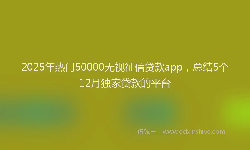 2025年热门50000无视征信贷款app，总结5个12月独家贷款的平台