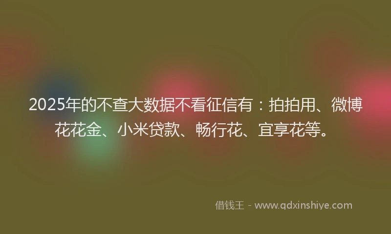 2025年的不查大数据不看征信有：拍拍用、微博花花金、小米贷款、畅行花、宜享花等。