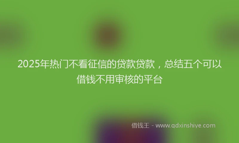 2025年热门不看征信的贷款贷款，总结五个可以借钱不用审核的平台