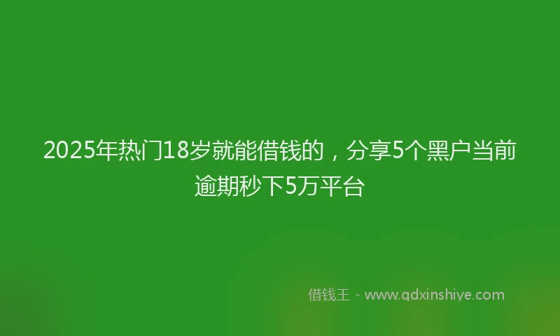 2025年热门18岁就能借钱的，分享5个黑户当前逾期秒下5万平台
