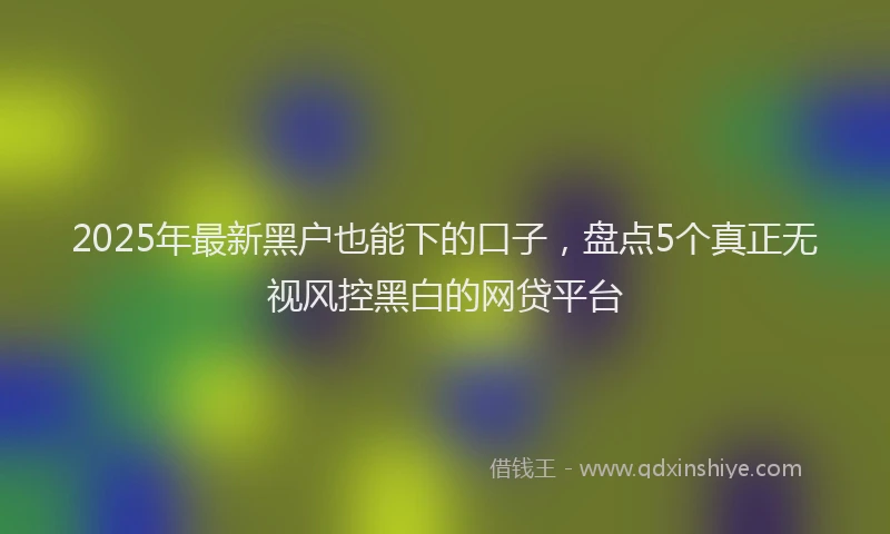 2025年最新黑户也能下的口子，盘点5个真正无视风控黑白的网贷平台