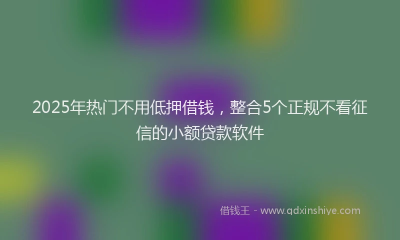 2025年热门不用低押借钱，整合5个正规不看征信的小额贷款软件