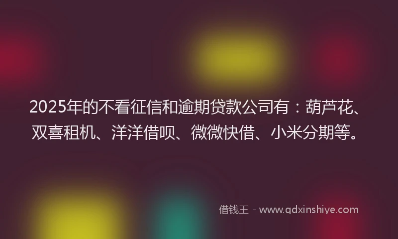 2025年的不看征信和逾期贷款公司有：葫芦花、双喜租机、洋洋借呗、微微快借、小米分期等。