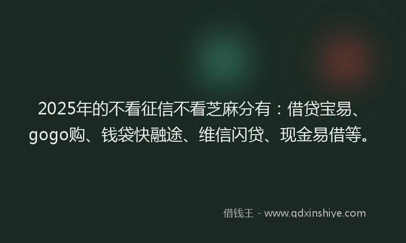 2025年的不看征信不看芝麻分有：借贷宝易、gogo购、钱袋快融途、维信闪贷、现金易借等。