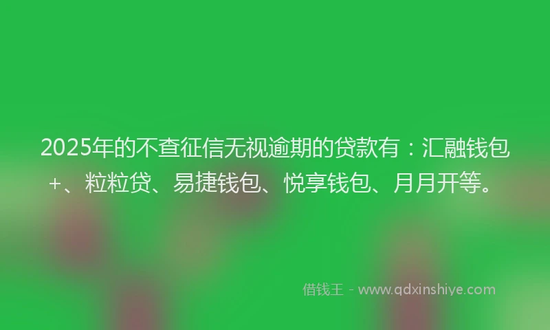 2025年的不查征信无视逾期的贷款有：汇融钱包+、粒粒贷、易捷钱包、悦享钱包、月月开等。