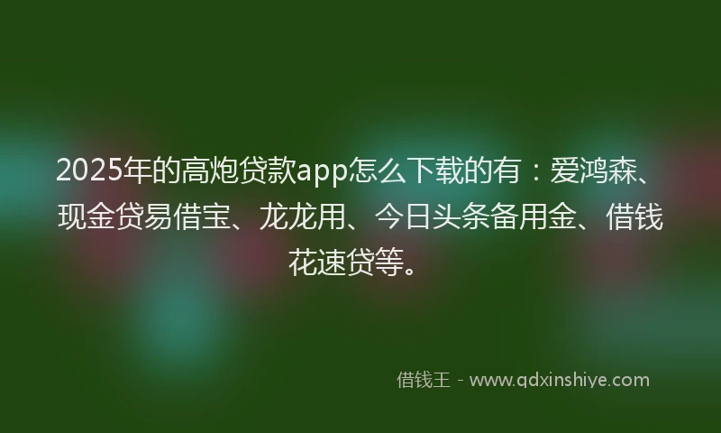 2025年的高炮贷款app怎么下载的有：爱鸿森、现金贷易借宝、龙龙用、今日头条备用金、借钱花速贷等。