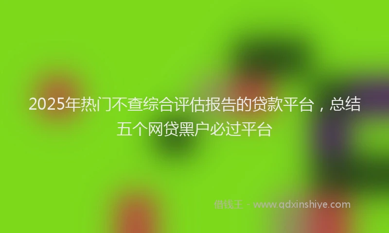 2025年热门不查综合评估报告的贷款平台，总结五个网贷黑户必过平台
