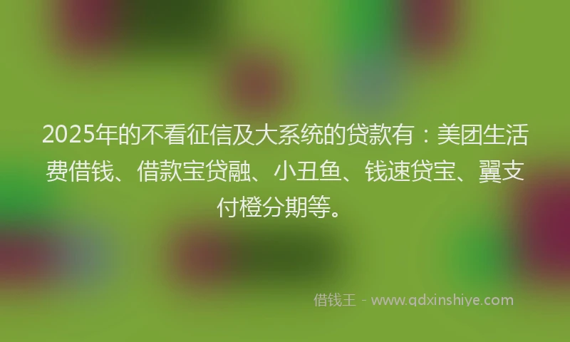 2025年的不看征信及大系统的贷款有：美团生活费借钱、借款宝贷融、小丑鱼、钱速贷宝、翼支付橙分期等。