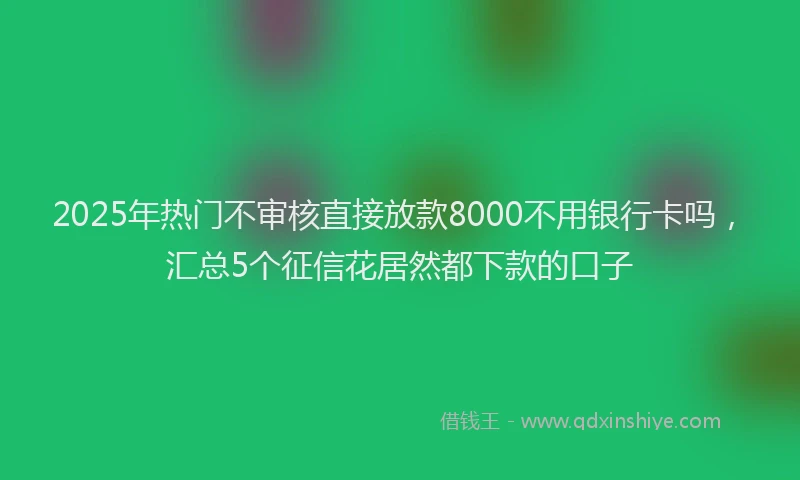 2025年热门不审核直接放款8000不用银行卡吗，汇总5个征信花居然都下款的口子