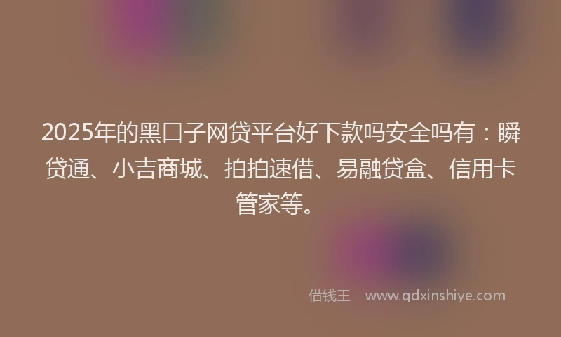 2025年的黑口子网贷平台好下款吗安全吗有：瞬贷通、小吉商城、拍拍速借、易融贷盒、信用卡管家等。