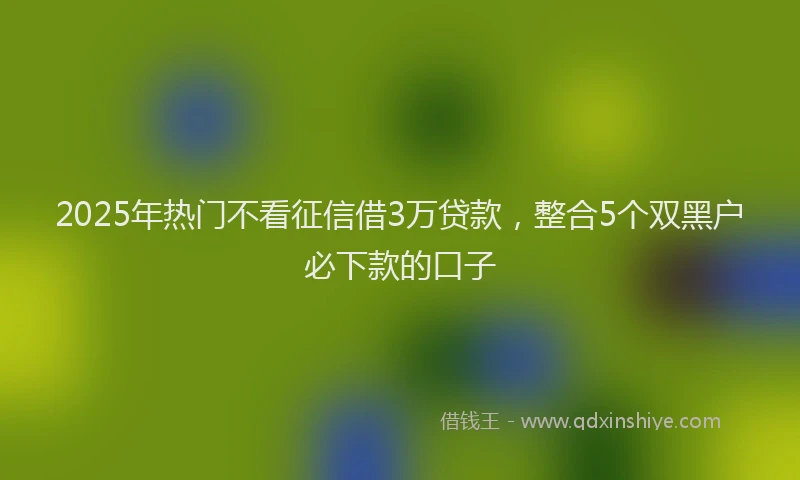 2025年热门不看征信借3万贷款，整合5个双黑户必下款的口子