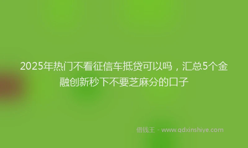 2025年热门不看征信车抵贷可以吗，汇总5个金融创新秒下不要芝麻分的口子