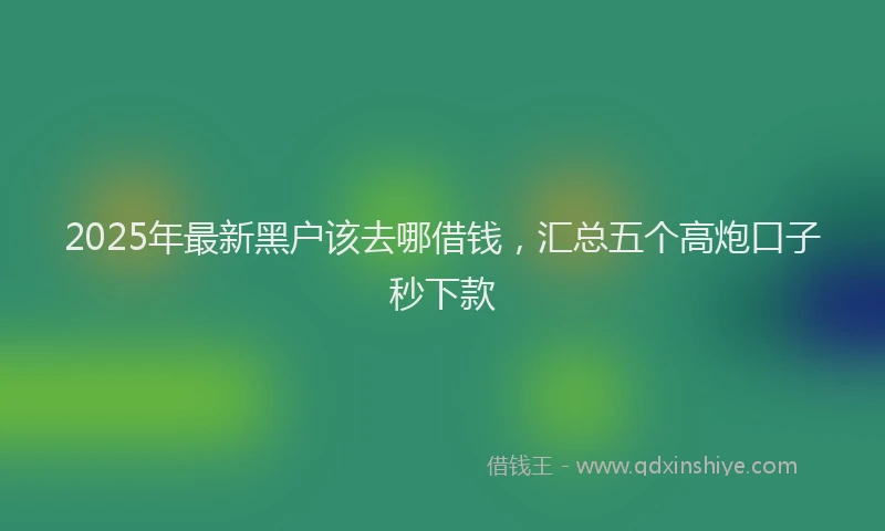 2025年最新黑户该去哪借钱，汇总五个高炮口子秒下款