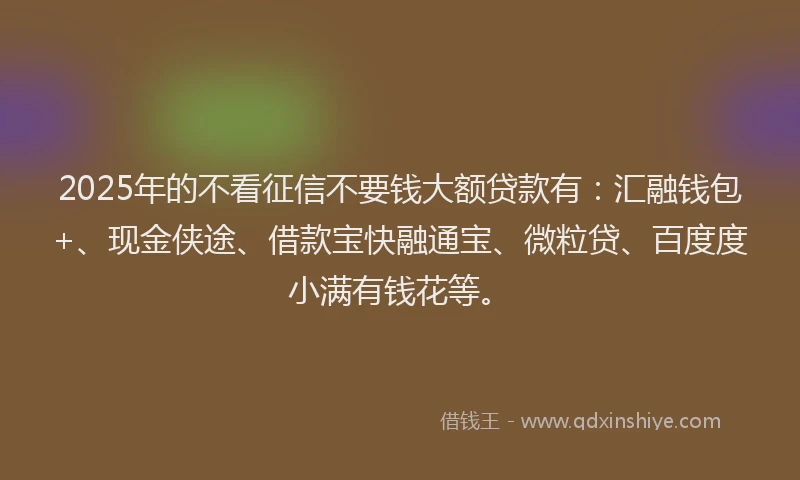 2025年的不看征信不要钱大额贷款有：汇融钱包+、现金侠途、借款宝快融通宝、微粒贷、百度度小满有钱花等。