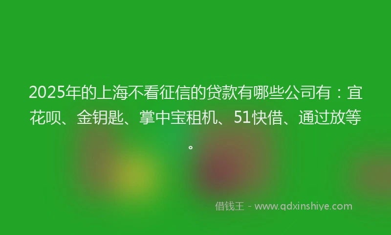 2025年的上海不看征信的贷款有哪些公司有：宜花呗、金钥匙、掌中宝租机、51快借、通过放等。