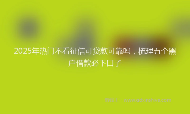 2025年热门不看征信可贷款可靠吗，梳理五个黑户借款必下口子