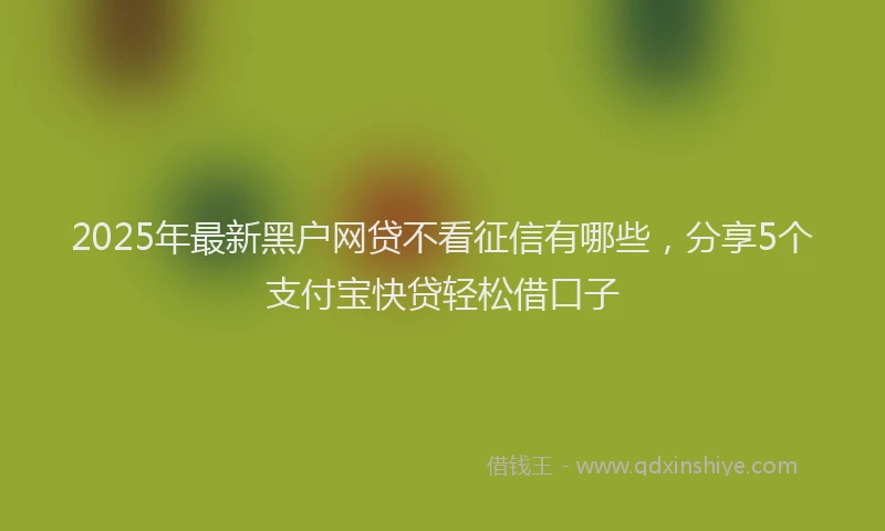 2025年最新黑户网贷不看征信有哪些，分享5个支付宝快贷轻松借口子