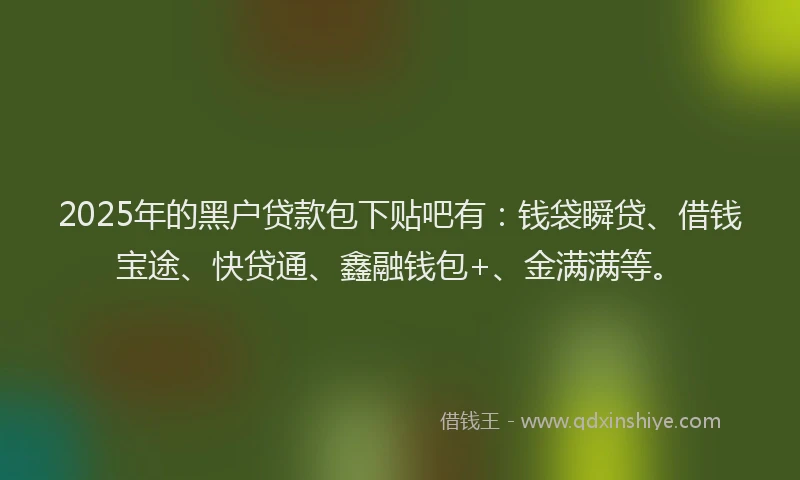 2025年的黑户贷款包下贴吧有：钱袋瞬贷、借钱宝途、快贷通、鑫融钱包+、金满满等。