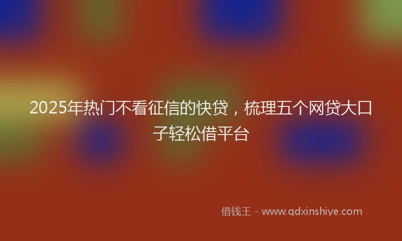 2025年热门不看征信的快贷，梳理五个网贷大口子轻松借平台