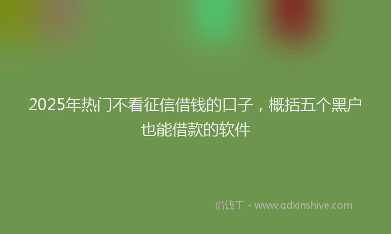 2025年热门不看征信借钱的口子，概括五个黑户也能借款的软件