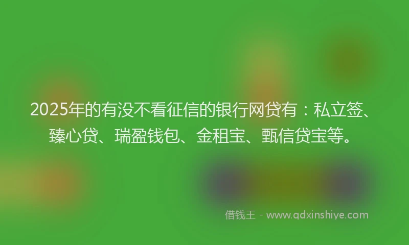 2025年的有没不看征信的银行网贷有：私立签、臻心贷、瑞盈钱包、金租宝、甄信贷宝等。