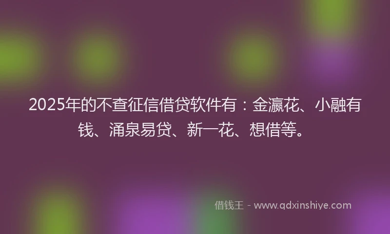2025年的不查征信借贷软件有：金瀛花、小融有钱、涌泉易贷、新一花、想借等。