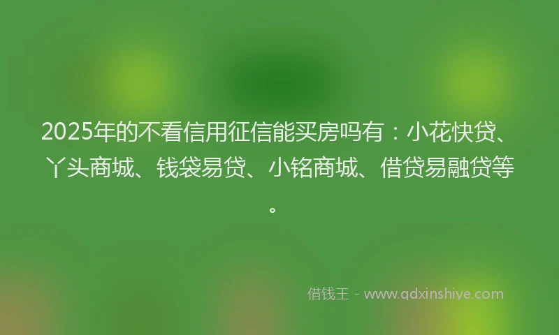 2025年的不看信用征信能买房吗有：小花快贷、丫头商城、钱袋易贷、小铭商城、借贷易融贷等。