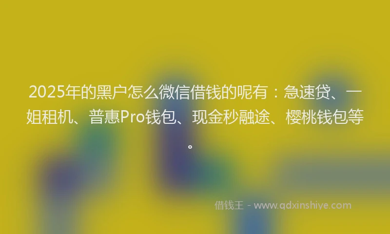 2025年的黑户怎么微信借钱的呢有：急速贷、一姐租机、普惠Pro钱包、现金秒融途、樱桃钱包等。