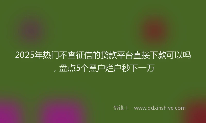 2025年热门不查征信的贷款平台直接下款可以吗，盘点5个黑户烂户秒下一万