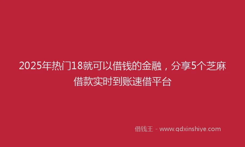 2025年热门18就可以借钱的金融，分享5个芝麻借款实时到账速借平台