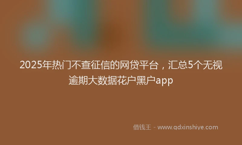 2025年热门不查征信的网贷平台，汇总5个无视逾期大数据花户黑户app