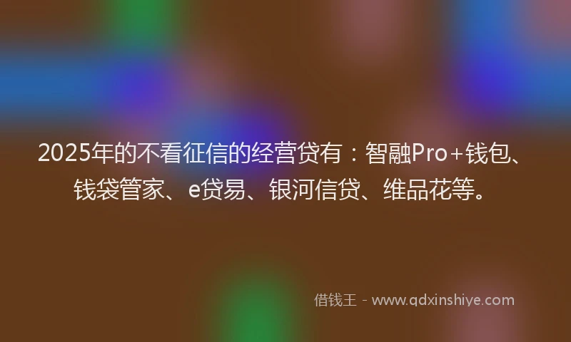 2025年的不看征信的经营贷有：智融Pro+钱包、钱袋管家、e贷易、银河信贷、维品花等。