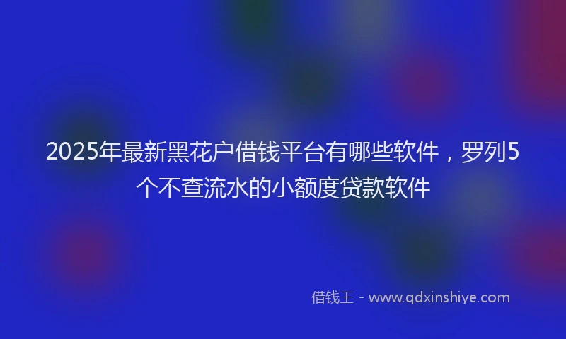 2025年最新黑花户借钱平台有哪些软件，罗列5个不查流水的小额度贷款软件