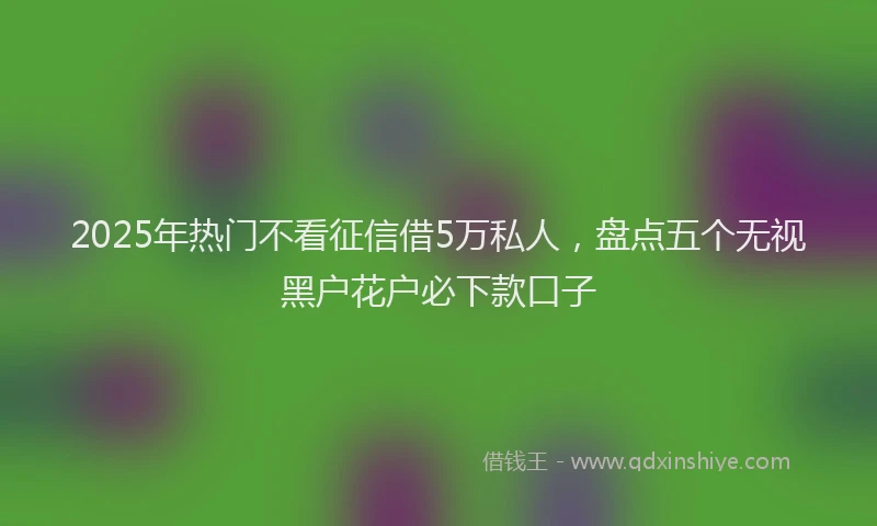 2025年热门不看征信借5万私人，盘点五个无视黑户花户必下款口子