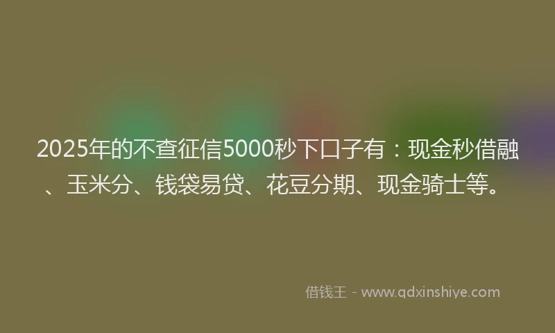2025年的不查征信5000秒下口子有：现金秒借融、玉米分、钱袋易贷、花豆分期、现金骑士等。