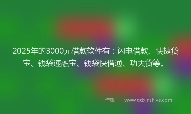 2025年的3000元借款软件有：闪电借款、快捷贷宝、钱袋速融宝、钱袋快借通、功夫贷等。