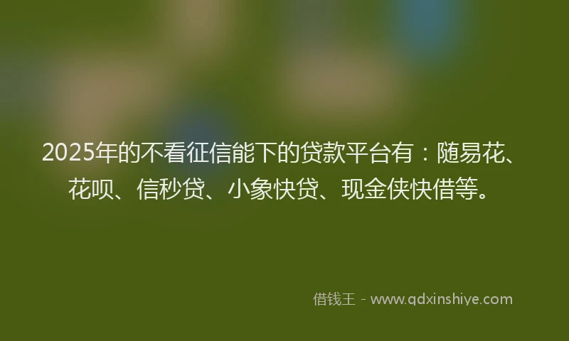 2025年的不看征信能下的贷款平台有：随易花、花呗、信秒贷、小象快贷、现金侠快借等。
