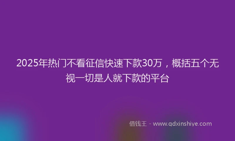 2025年热门不看征信快速下款30万，概括五个无视一切是人就下款的平台