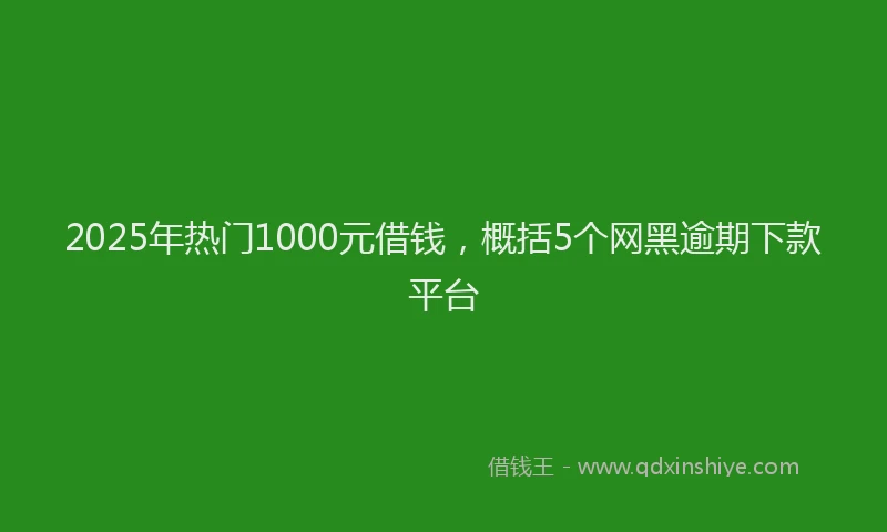 2025年热门1000元借钱，概括5个网黑逾期下款平台