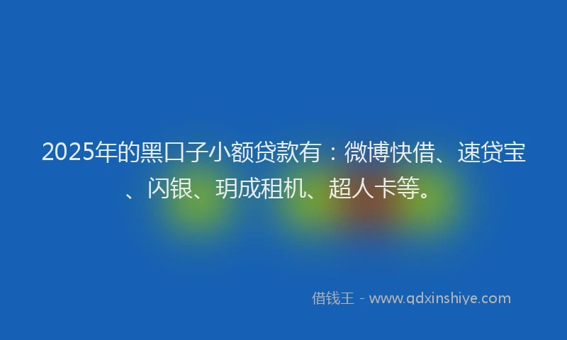2025年的黑口子小额贷款有：微博快借、速贷宝、闪银、玥成租机、超人卡等。