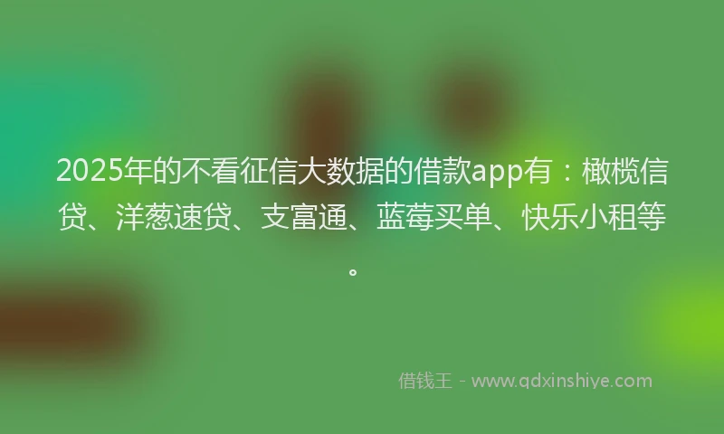 2025年的不看征信大数据的借款app有：橄榄信贷、洋葱速贷、支富通、蓝莓买单、快乐小租等。