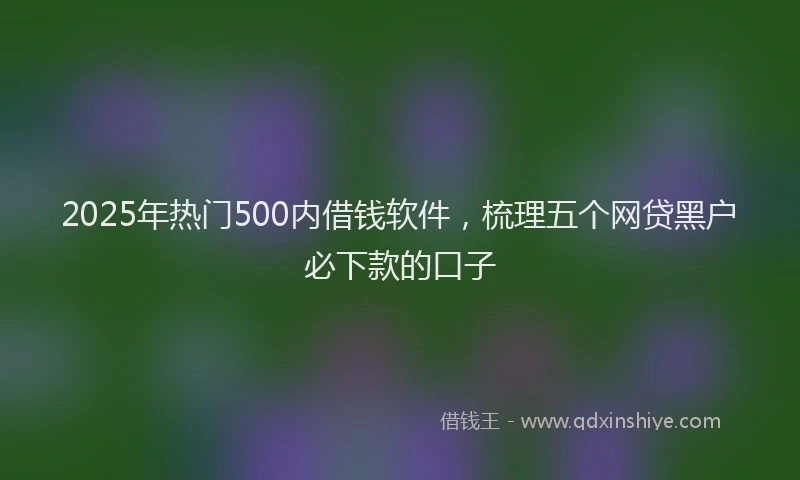 2025年热门500内借钱软件，梳理五个网贷黑户必下款的口子
