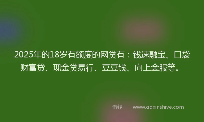 2025年的18岁有额度的网贷有：钱速融宝、口袋财富贷、现金贷易行、豆豆钱、向上金服等。