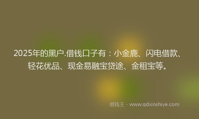 2025年的黑户.借钱口子有：小金鹿、闪电借款、轻花优品、现金易融宝贷途、金租宝等。