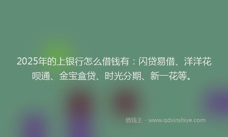 2025年的上银行怎么借钱有：闪贷易借、洋洋花呗通、金宝盒贷、时光分期、新一花等。