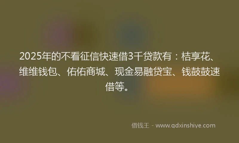 2025年的不看征信快速借3千贷款有：桔享花、维维钱包、佑佑商城、现金易融贷宝、钱鼓鼓速借等。