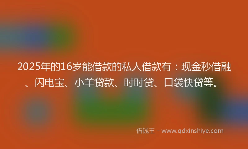 2025年的16岁能借款的私人借款有：现金秒借融、闪电宝、小羊贷款、时时贷、口袋快贷等。