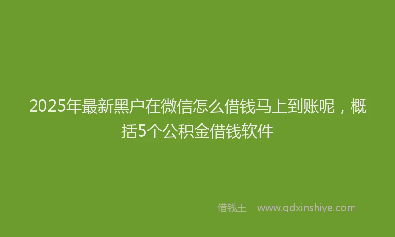 2025年最新黑户在微信怎么借钱马上到账呢，概括5个公积金借钱软件