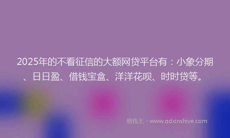 2025年的不看征信的大额网贷平台有：小象分期、日日盈、借钱宝盒、洋洋花呗、时时贷等。