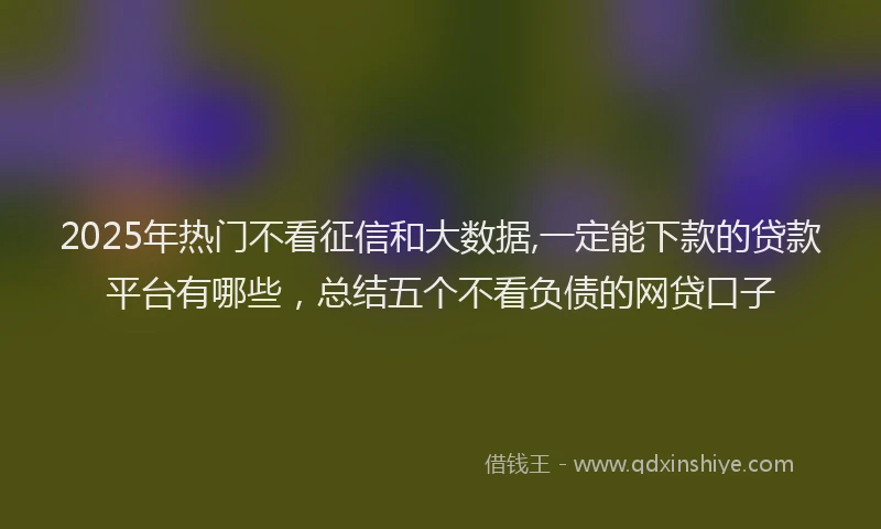 2025年热门不看征信和大数据,一定能下款的贷款平台有哪些，总结五个不看负债的网贷口子